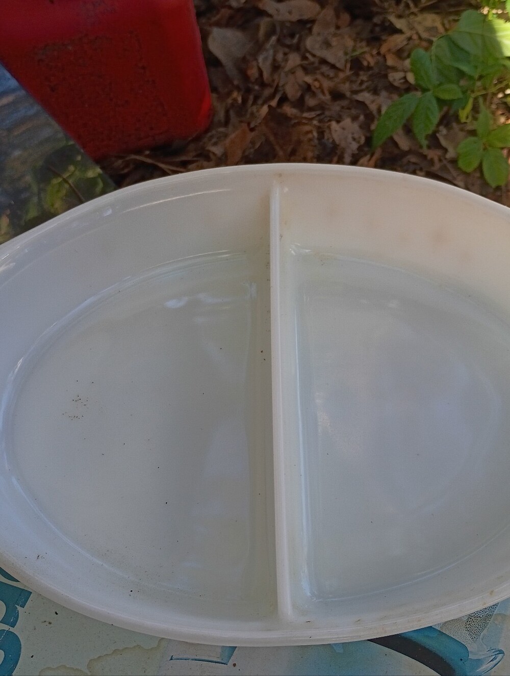White Divided Serving Platter - Home Accents